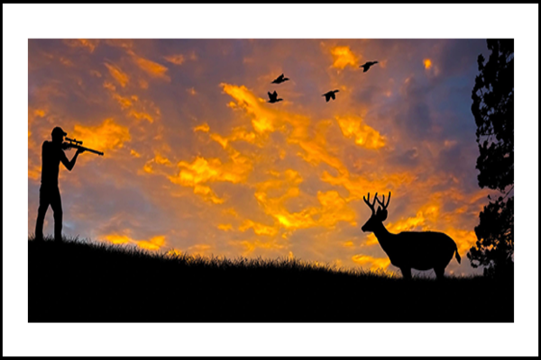 Silhouette of a bow hunter aiming at a White tail buck against an evening sunset.